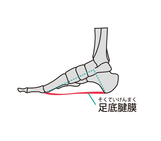 足底腱膜炎 横浜市保土ヶ谷区の横山医院