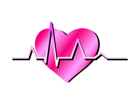 心肺機能のイラスト