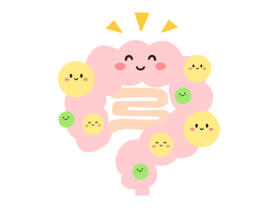 元気な腸のイラスト